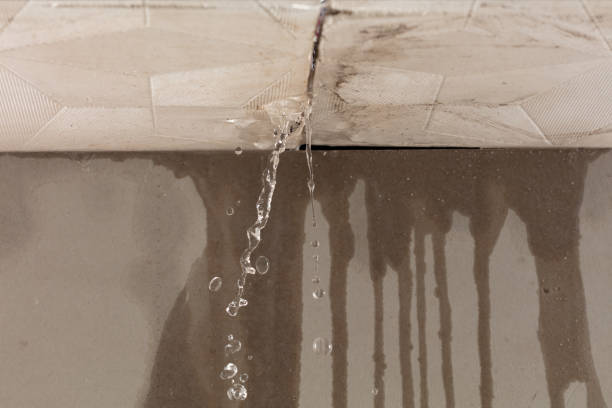 Professional Water Damage Inspection technician working in Randallstown, MD
